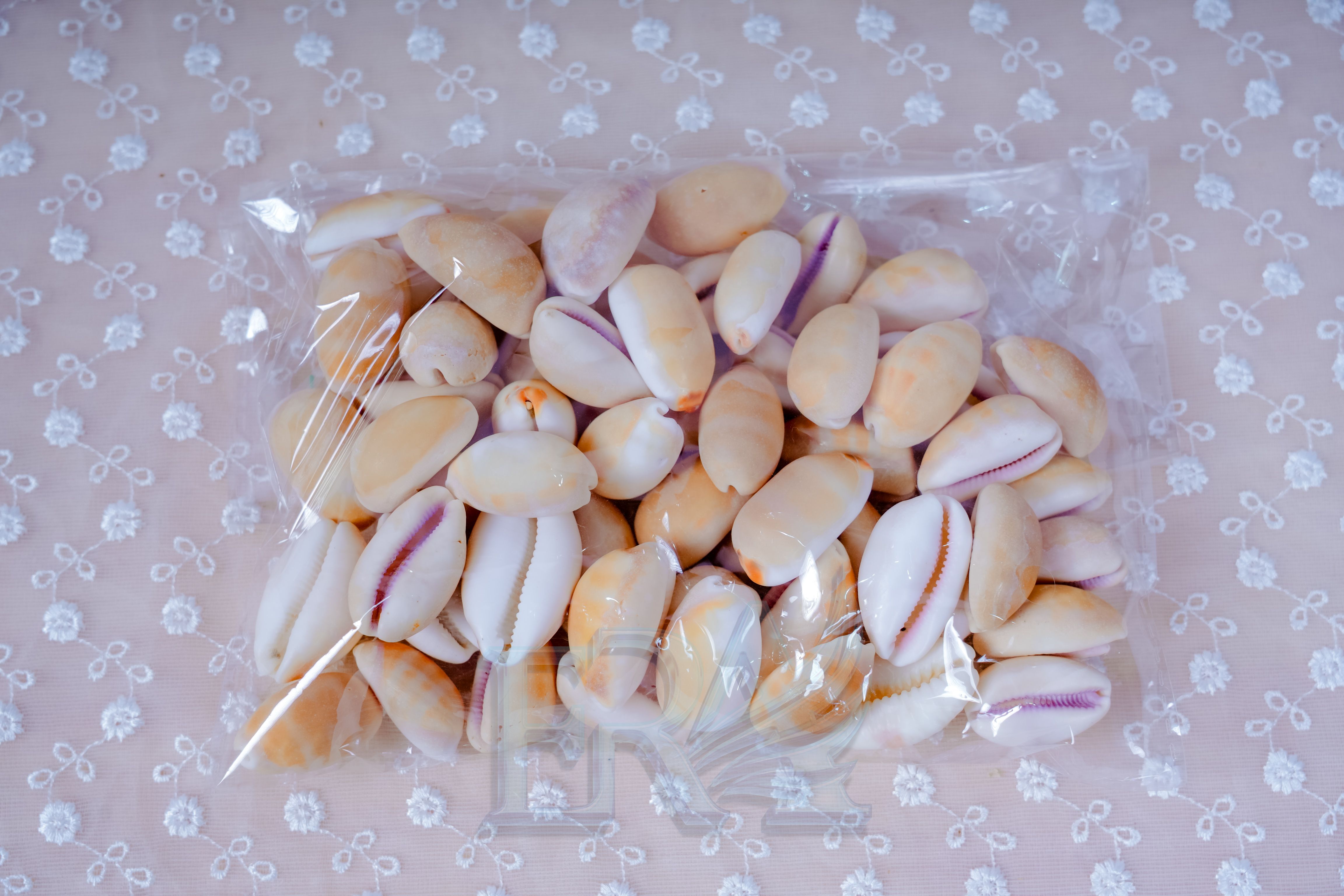 Vỏ Ốc Nga Vàng 500g
